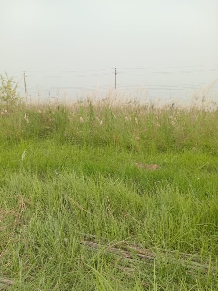 land for sale sector-15/C, Road-1/A,plot-27, uttara 3rd phase,